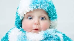 7 Must-Have Plants for Your Bee-Friendly Garden