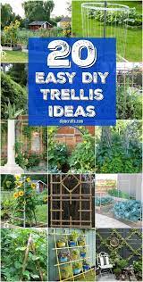 Trellis is a great space saver, which can also be customized to fit your needs perfectly. 20 Easy Diy Trellis Ideas To Add Charm And Functionality To Your Garden Diy Trellis Diy Garden Projects Diy Garden Trellis
