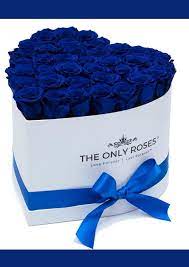 Royal Blue Preserved Roses Heart White Huggy Rose Box Blue Rose Bouquet Preserved Roses Rose Gift