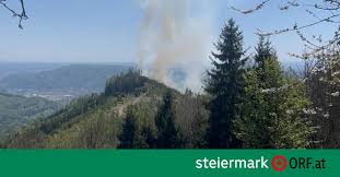 Weiter keine Entspannung bei Waldbrand