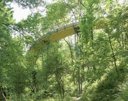 Bs Holzbrucke Im Forstbotanischen Garten Tharandt Pdf Free Download