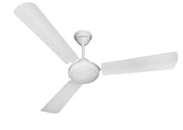 In 'ceiling fans' category their havells bldc fan (model: Buy Havells Ss 390 1200mm Ceiling Fan Pearl White Silver Online At Low Prices In India Amazon In