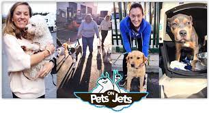 It is illegal in canada to sell a dog as a purebred without supplying registration papers free. Pet Moves Airsea