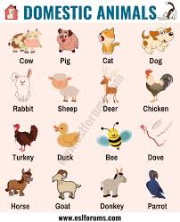 Farm Animals List Of 15 Popular Farm Domestic Animals In English Esl Forums English Lessons For Kids Learning English For Kids Farm Animals List
