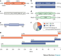As a natural water element zodiac, the crab holds a special relationship with the moon just as earth's oceans have a symbiotic relationship with the moon and its effects on the changing tides. Transposable Elements In Cancer Nature Reviews Cancer