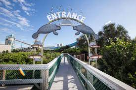 Be sure to wash your hands at the provided station afterwards. Teco Manatee Viewing Center To Open For Season Nov 1 The Observer News South Shore Riverview Sun City Center
