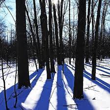 Pin On Redbubble Debbie Oppermann Photography