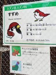 死ぬわけねーだろ 子どもの質問に毒舌をかます多摩動物公園の解説キャラ モグラ先輩 が笑えるww irorio イロリオ すき pinterest