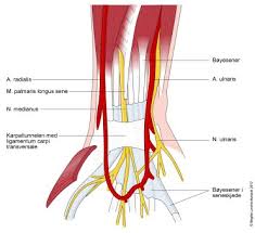 Downtown central lake ligger innen gangavstand, mens du fortsatt føler deg veldig bortgjemt hjemme. Karpaltunnelsyndrom Nhi No