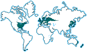Deciduous Forest Location Map Distribution/Map - Deciduous Forest