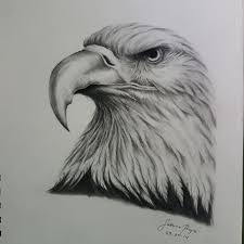 Therefore, it's very important for things like drawing buildings, landscapes or big scenes. Draw Any Realistic Drawing Of Any Animals Portraits And Objects By Sabrinasophia Fiverr