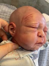 Walter by Petunias playground from Trisha Myers