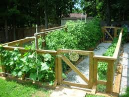 Information About Rate My Space Home Vegetable Garden Design Garden Layout Vegetable Small Backyard Gardens