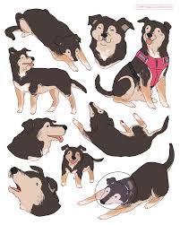 Hamotzi Commission For Spacelulu Dog Art Animal Sketches Animal Drawings