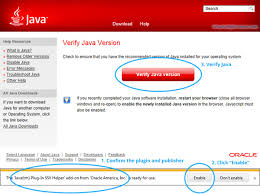 Install Java On Windows Whatismybrowser Com