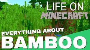 Per day, and 7 min. Bamboo In Minecraft Everything You Need To Know About Minecraft Bamboo Life On Minecraft Avomance 2 Youtube