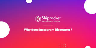 How to space out instagram bio. Tips To Craft The Perfect Instagram Bio For Your Brand Shiprocket