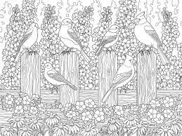 Cardinals In Flower Garden Coloring Page Garden Coloring Pages Flower Coloring Pages Printable Flower Coloring Pages