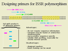 However, even if the desired element is present in a minute, negligible quantity. Sequence Tagged Sites Sts