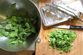 Wrap bunched or loose arugula in paper towels and store in a plastic bag in the crisper of the refrigerator. Freeze And Preserve Arugula Rocket Family Food Garden