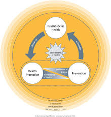 Challenges such as stress and anxiety can impact academic performance before and during college. The Connection Between Health Promotion Prevention And Psychosocial Health An Innovative Action Model
