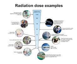 Radiation Doses Canadian Nuclear Safety Commission