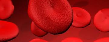 Im erstgespräch mit dem patienten wird sich der arzt genau nach art und dauer der beschwerden erkundigen. Okkultes Blut Im Stuhlgang Nur Durch Einen Stuhltest Nachweisbar