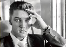 Book review: Ray Connolly's Being Elvis: A Lonely Life is an excellent,  though tragic, examination of the price of fame