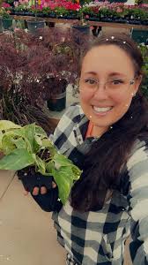 Window friendly plants for full sun morning light