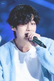 Pin On Bts V