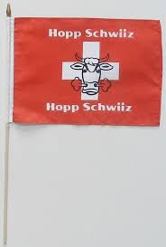 Die schweizer flagge, in der schweiz fahne genannt, ist ein weisses kreuz auf rotem grund. Diverse Welt Der Fahnen