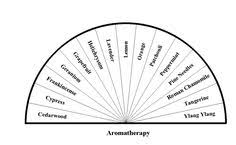 Pendulum Charts