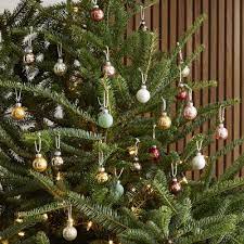 West Elm Ornaments Pure Boxed Ornaments Set Of 25
