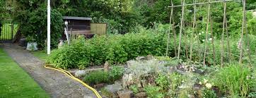 Garten mieten pacht grundstucke garten mieten und kaufen in brandenburg ebay kleinanzeigen. Garten Pachten Kleingartnerverein Mainz Mombach