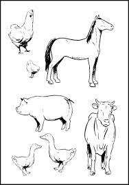 More 100 images of different animals for children's creativity. Baby Farm Animal Coloring Pages Only Coloring Pages Farm Animal Coloring Pages Farm Animals Preschool Farm Animals Pictures