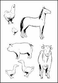 Search through 623,989 free printable colorings at getcolorings. Animals Coloring Sheet Farm Animals Preschool Farm Animal Coloring Pages Farm Animals Pictures