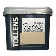 Tollens Peinture Acrylique Multi Usages Couleur Plurielle Satin Soignee Peinture Acrylique Peinture Acrylique