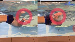 元日本代表が解説。平泳ぎの正しいタイミングはこう掴む。練習方法を紹介！ ｜ swim media