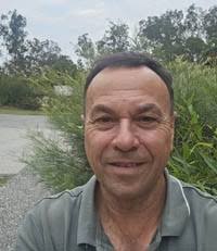 Locally bred teewah creek rainbowfish in Brisbane