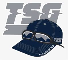 Tsg 1899 hoffenheim football club logo. Tsg 1899 Hoffenheim Logo Hd Png Download Kindpng