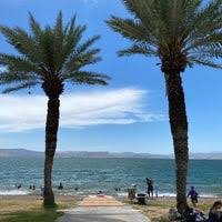 הכנסת כלבים לתחום חניון הנופש מותרת כשהכלב קשור ברצועה באורך של עד 5 מטר, ותחת השגחה צמודה של בעליו. ×—×•×£ ×œ×'× ×•×Ÿ