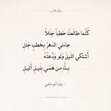 شعر إيليا أبو ماضي كلما طالعت خطبا جللا عالم الأدب Arabic Poetry Greek Quotes Life Quotes