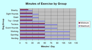 Dog Exercise Needs By Breed Basic Guide Time Chart