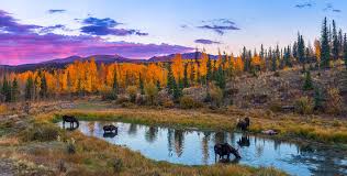 Minders staff deals directly with prospects and tenants, collecting rent, handling maintenance and repair issues. Michael Underwood Photography Colorado Landscape Photography