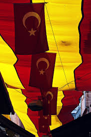 Champion Galatasaray Aslanlar Turkiye Galeri