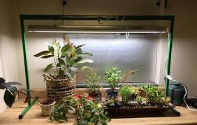 Stick it right into the soil of the plant that needs some extra light. Best Led Grow Light Stands Review 2021 9 Key Features Need To Consider 420 Big Bud