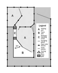 Cattle Yard Design Pictures To Cattle Ranching Sheep Sheep Shelter