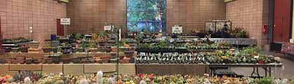 San gabriel valley cactus and succulent society los angeles ca. 2020 Show Sale San Francisco Succulent Cactus Society