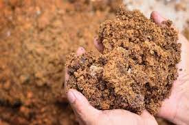 Find the perfect clayey soil stock photos and editorial news pictures from getty images. Clay Soil Is Good For Gardening Manage And Improve Clay Soil In 2021