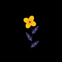Animated images, gifs, pictures & animations. Spring Flower Gifs Get The Best Gif On Giphy